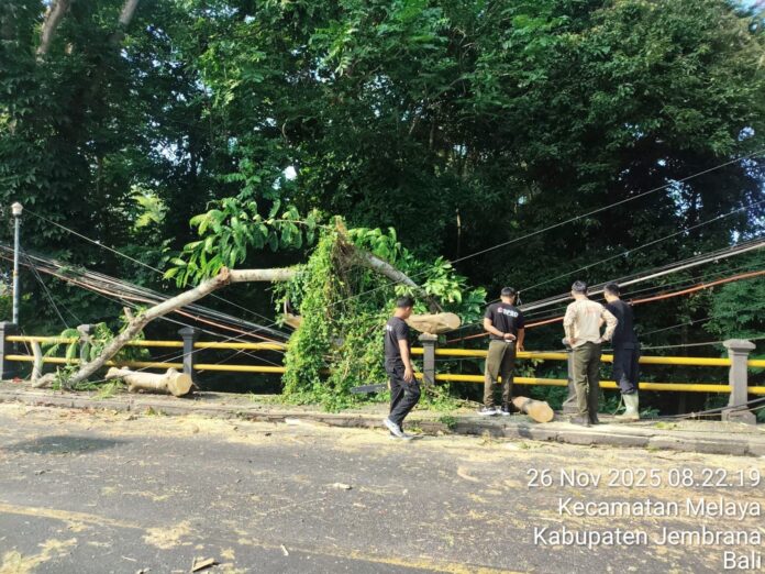 0911a598-1ac7-4430-95c0-d8a5a82f9234