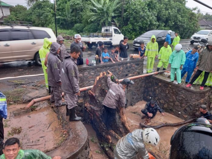 7d964cfe-4a5f-4c78-b20c-c12add8f8d6e