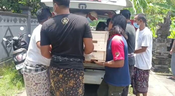 85f61945-6add-4052-932b-31fb83028232