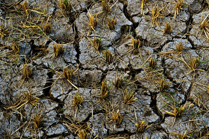 pexels-kevin-yung-2152346613-36315088