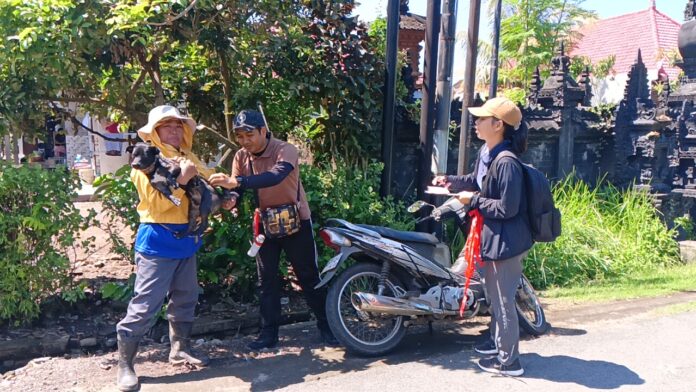 213266f2-a98f-4d66-8031-3c91b82de1ef