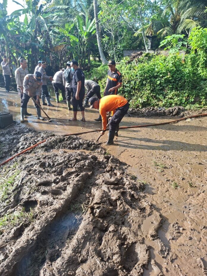 813b07ef-d3c6-43d2-bc7e-db8977eb0776