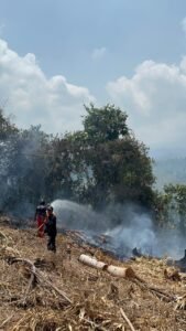 Petugas damkar memadamkan kebakaran kebun di Pohsanten Mendoyo