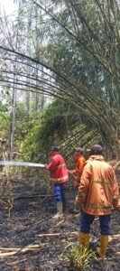 Petugas damkar memadamkan kebakaran lahan di Tegalbadeng Barat