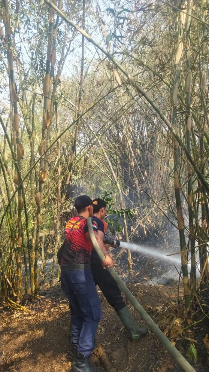Damkar padamkan kebakaran kebun bambu di Lelateng Jembrana