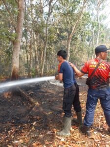 Petugas damkar Jembrana memadamkan kebakaran lahan kebun warga di Baler Bale Agung, Negara