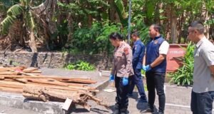 Kapolres Jembrana menunjukkan barang bukti kayu hasil tebangan liar di Mako Polres Jembrana